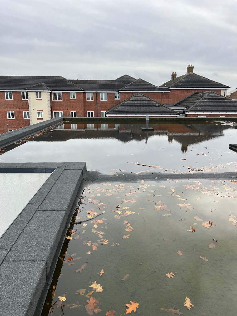 Standing water pooling on a UK flat roof needing repair after autumn rain